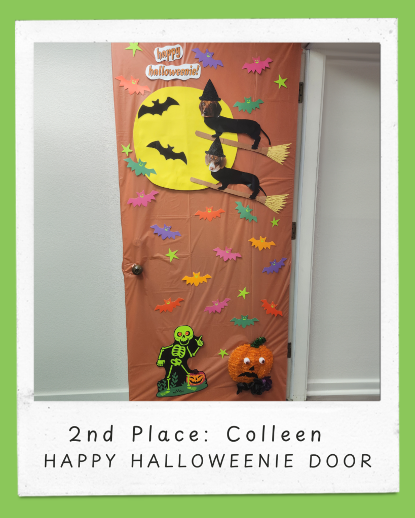 This door has a brown background, and at the top, a sign reads, "Happy Halloweenie!" in orange bubble letters in a small white border. The main feature of the door is a large yellow moon centered on the upper half of the door, against which two dachshunds are "flying" on broomsticks, wearing black witch hats and dressed as witches. Two small black bats are attached to the moon. Colorful paper bats in orange, purple, pink, and green, each with a small, cute face, are scattered across the door, surrounding the moon, and green stars are also sprinkled around the door. Toward the bottom of the door, to the left, there is a large, bright green skeleton with a playful expression, positioned as if dancing, with a small orange pumpkin at its feet. Next to the skeleton to the right, a textured, 3D orange pumpkin face with big googly eyes, a surprised expression, and a green stem, peeks out. At the bottom of the image, there is a white frame with light green edges, featuring the text: "2nd Place: Colleen, HAPPY HALLOWEENIE DOOR"